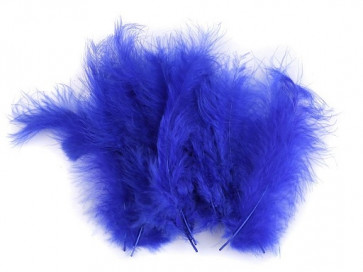 perje 9-16 cm, barva kraljevsko modra, 1 kos