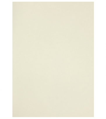 papir A4 prosojen, "off white" umazano bele b., 210x297 mm, 100 g, 1 kos