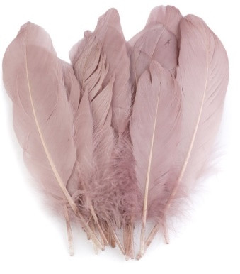 perje 16 - 21 cm, vintage roza barve, 1 kos