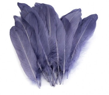 perje 16 - 21 cm, temno modre barve, 1 kos