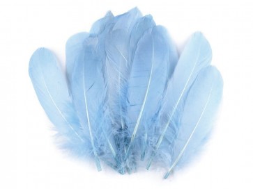 perje 16 - 21 cm, sv. modre barve, 1 kos