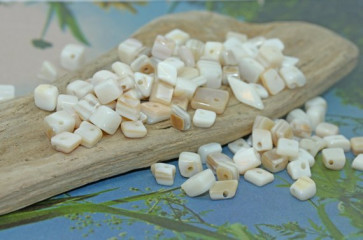 školjke, "čips" 0,5 - 1,5 cm, naravne, 50 g