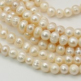 biserne perle - naravne, 6~7 mm, b. OldLace, 1 niz - 39 cm