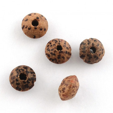 naravne perle - Bodhi, 6x8~9mm, velikost luknje: 2 mm, 10 kos