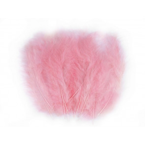 perje 9-16 cm, barva roza puder, 1 kos