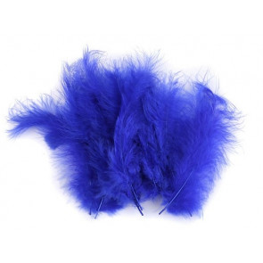 perje 9-16 cm, barva kraljevsko modra, 1 kos