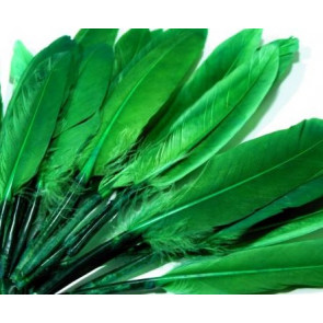 perje 9 - 14 cm, zeleno, 1 kos