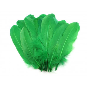 perje 16 - 21 cm, zeleno, 1 kos